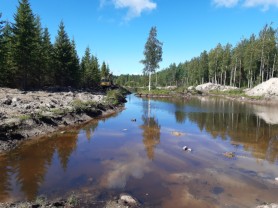 Metsätalouskosteikko valmistuu_ARytkönen